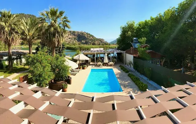 Arp Dalyan