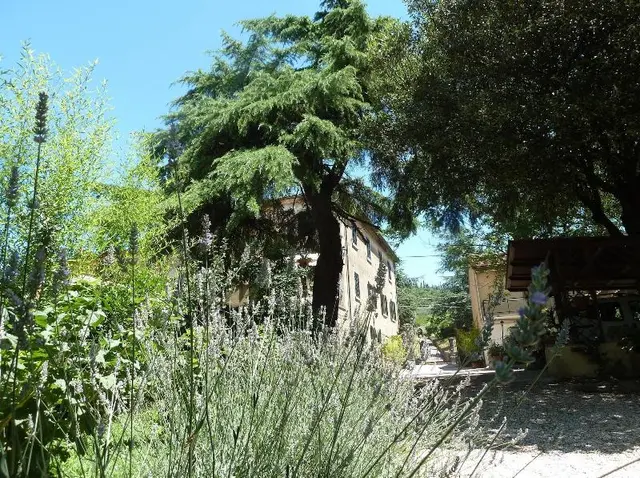 B&B Gabri