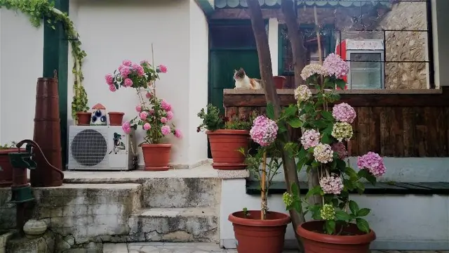 Garden Palace Hotel