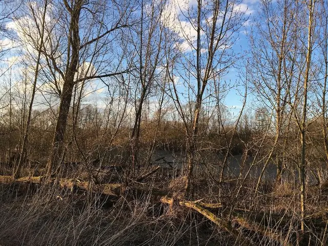 De Koolputten