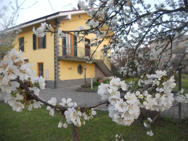 B&B Pervinca