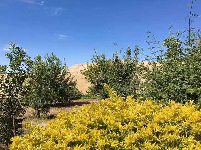 New Memnon Hotel