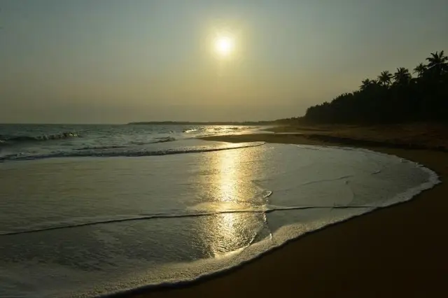 Darwins Beach Resort