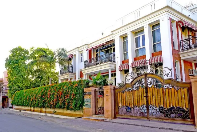 Palm34