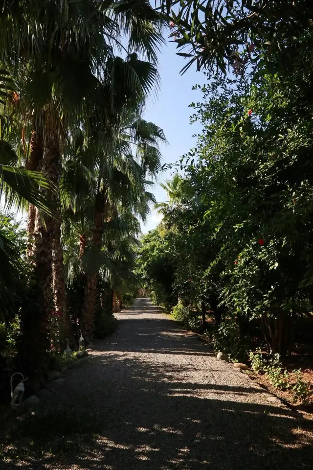 Le Bled Ferme