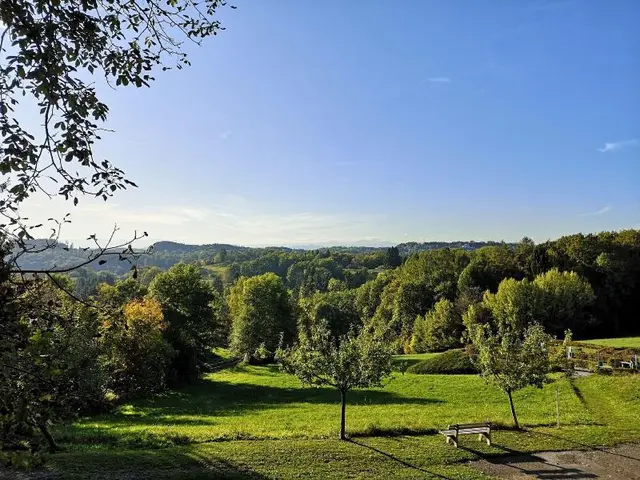 Hotel Liebmann