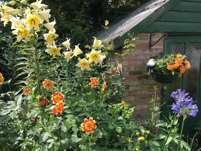 Fairlight Lodge