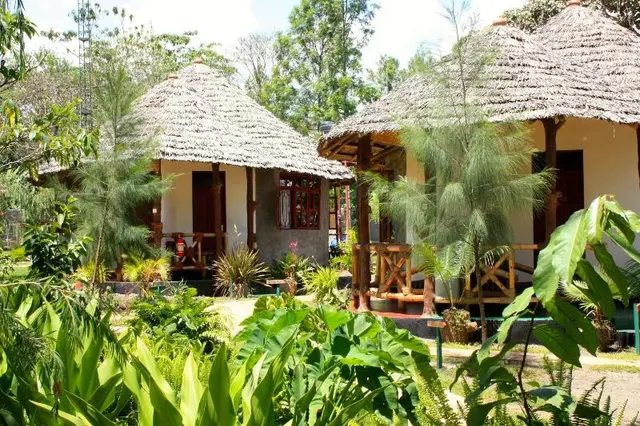 The Vijiji Center Lodge And Safari