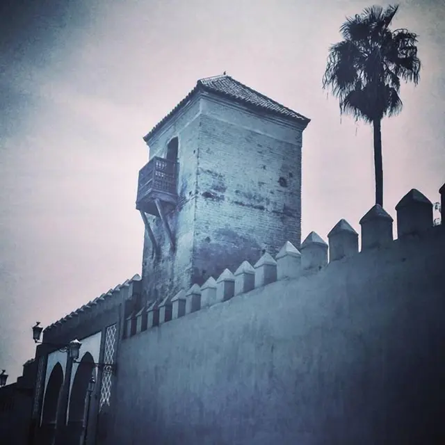 Riad Ajebel