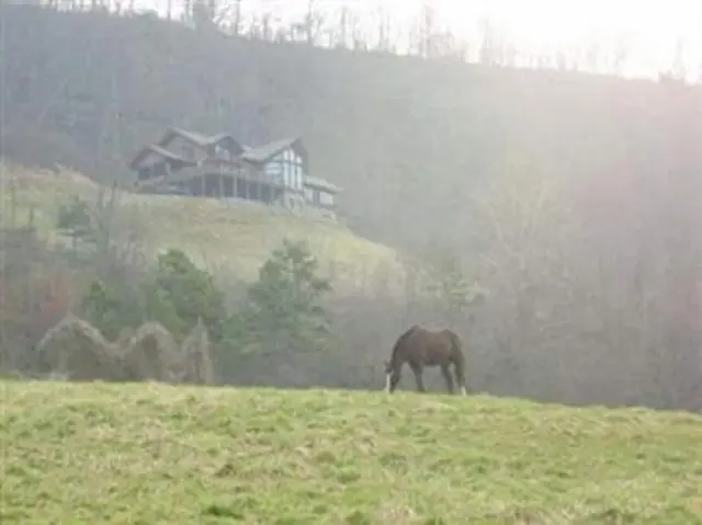 Wildberry Lodge