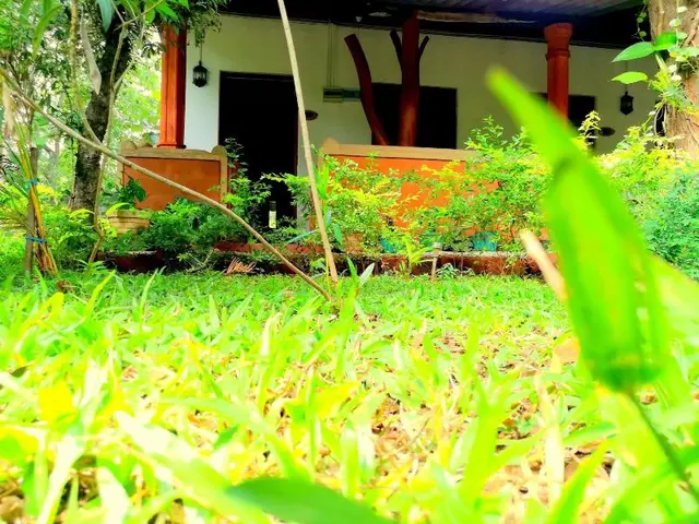 Sisira Natural Lodge