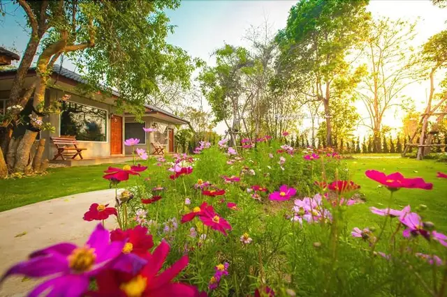 Villa De Bua Resort At Nan