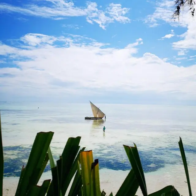 The Island - Pongwe Lodge - Adults Only