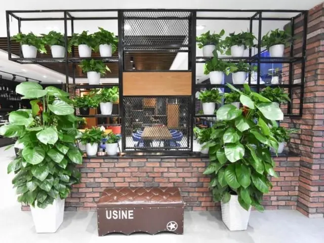 Greentree Inn Rizhao Lanshan Bus Station