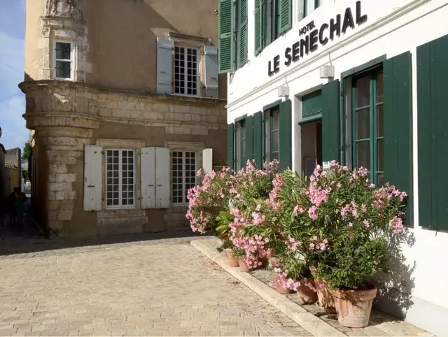 Hôtel Le Sénéchal