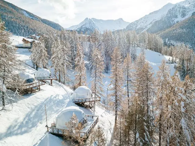 Alpin D'Hôme