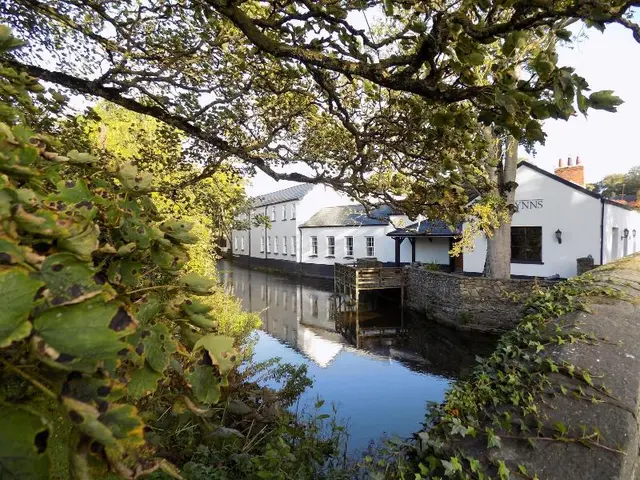 Flynns Of Termonfeckin