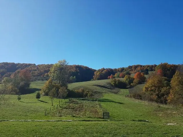 Villa Lika