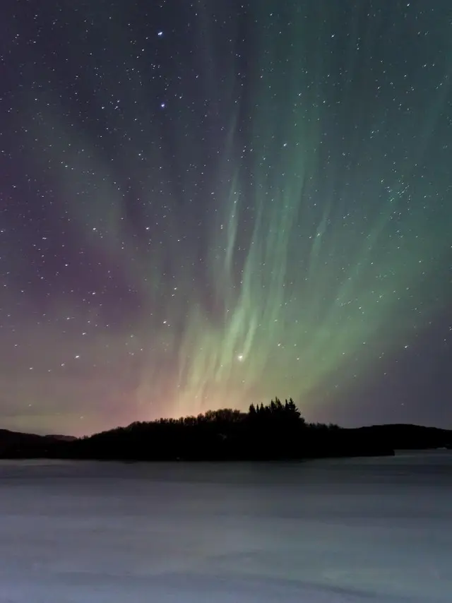 Hotel Bifrost