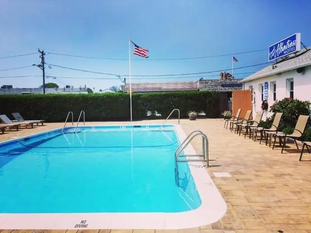 Daunt's Albatross Motel