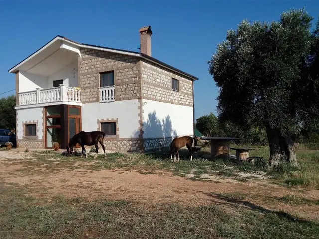 Gio Horses B&B