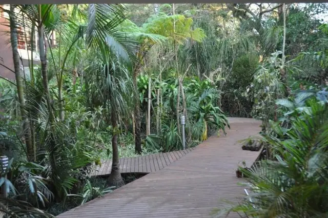 Forest Lodge