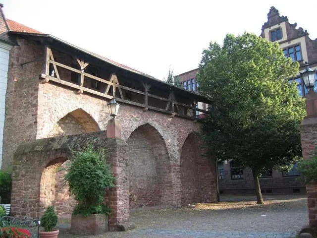 Neu Heidelberg - Guesthouse & Apartments