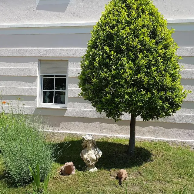 Garni Villa Tyrol (Adults Only)