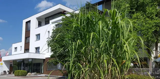Hotel Scholz