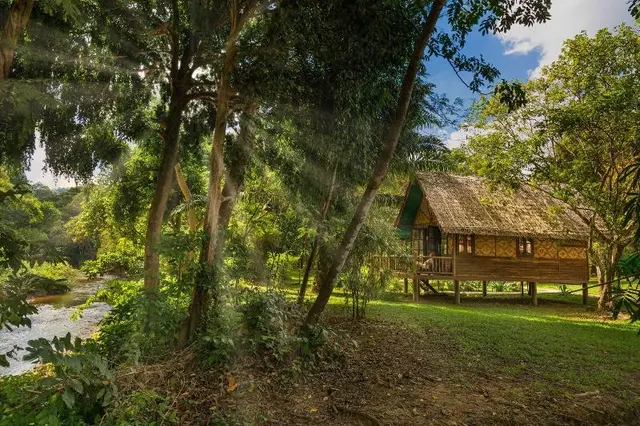Our Jungle Camp - Eco Resort