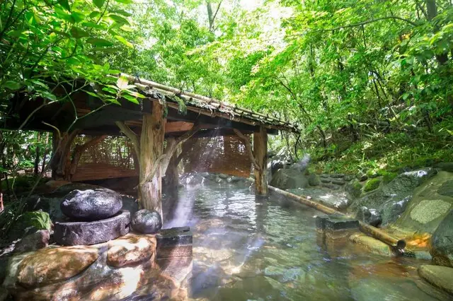 Kurokawa Onsen Oyado Noshiyu