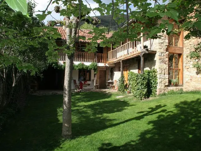 El Canto Del Gallo