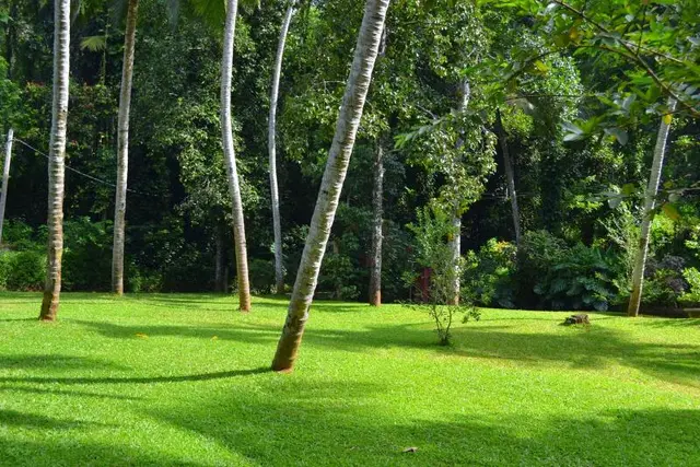 Clove Garden Hotel