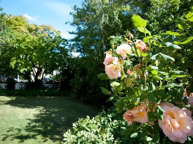 Lowena Cafe And Accommodation