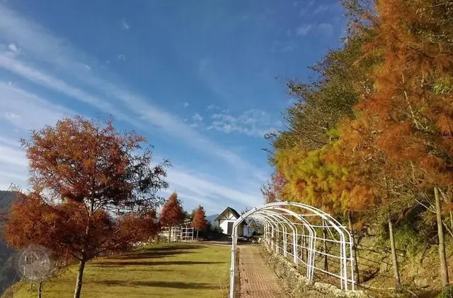 Top-Cloud Villa