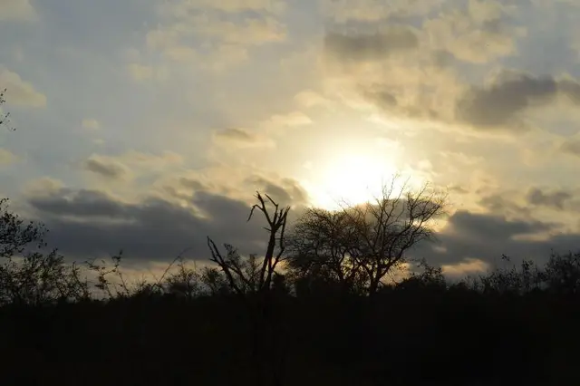 Imbube Safari Lodge