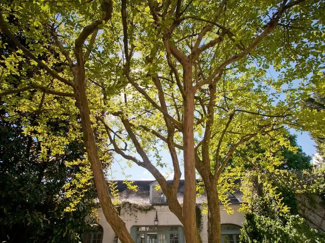 La Maison Jules