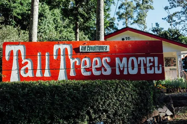 Tall Trees Motel