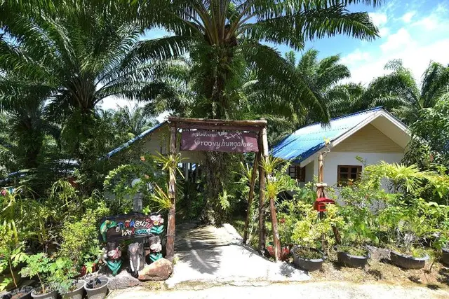 Groovy Bungalows