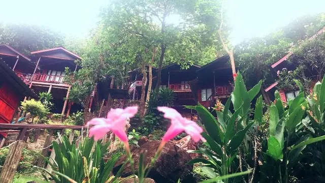 Phi Phi Green Hill Resort