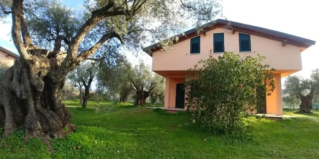 La Piana Degli Ulivi