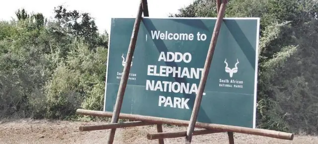 Barefoot Addo Elephant Lodge
