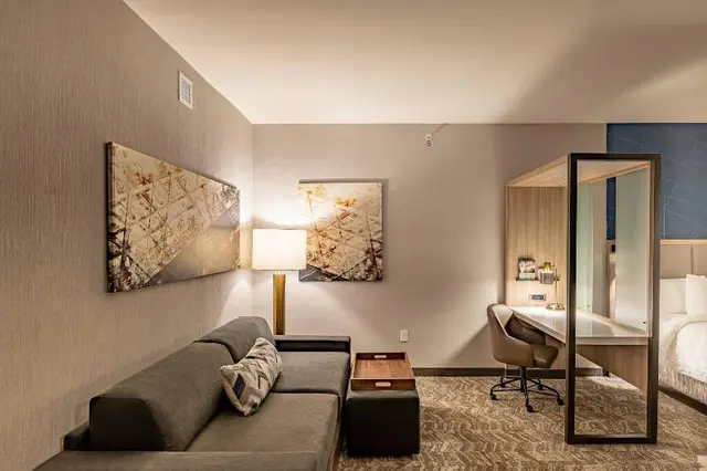 SpringHill Suites by Marriott Dallas McKinney/Alle