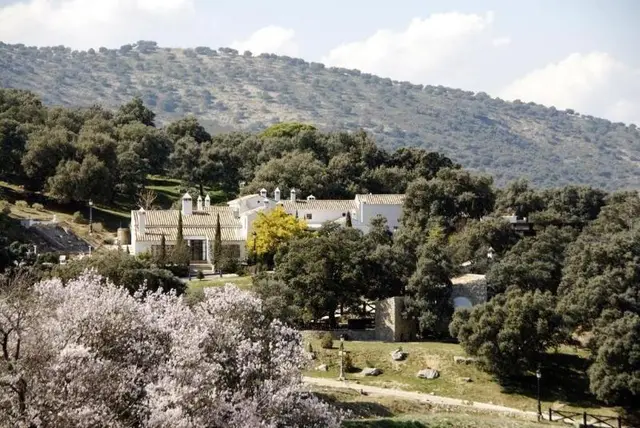 Los Pilares De Ronda Boutique & Hotel