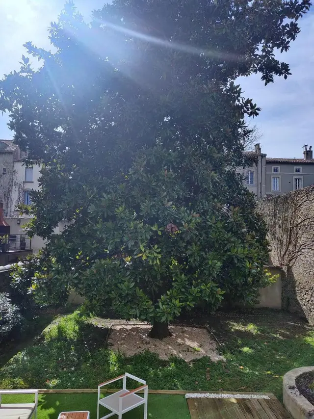 Chambres d'hotes le Magnolia