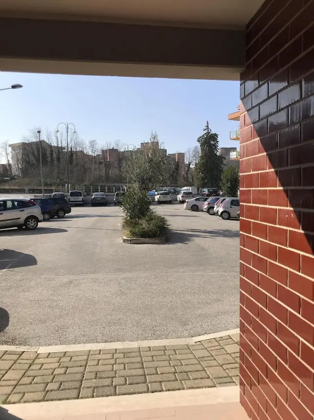 Il Piccolo Principe
