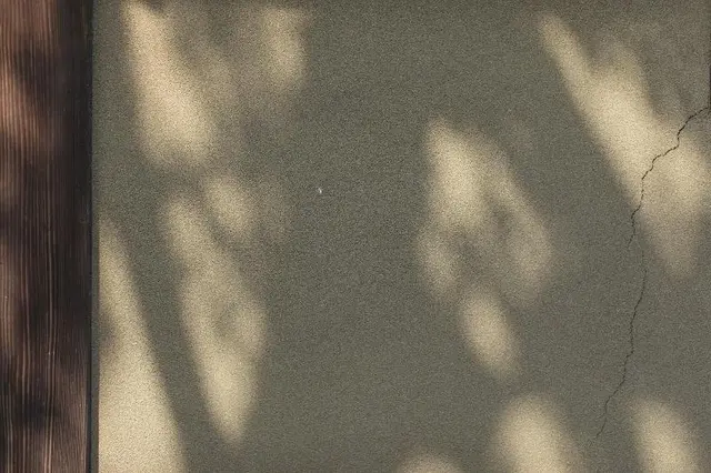 Toshiharu Ryokan