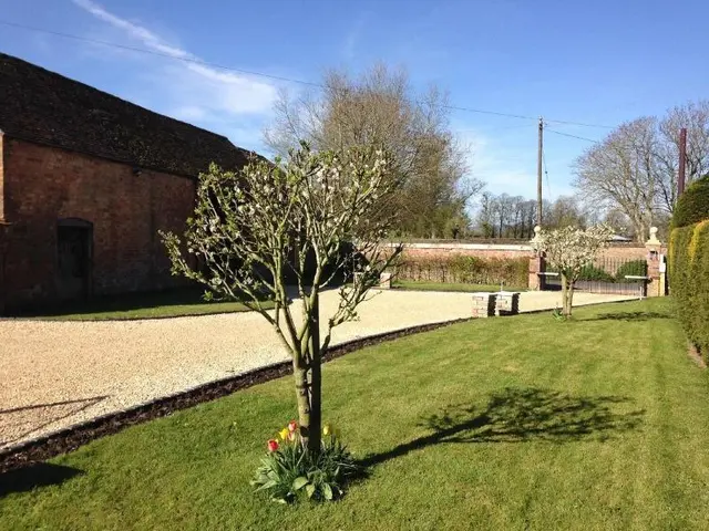 Saul Farm