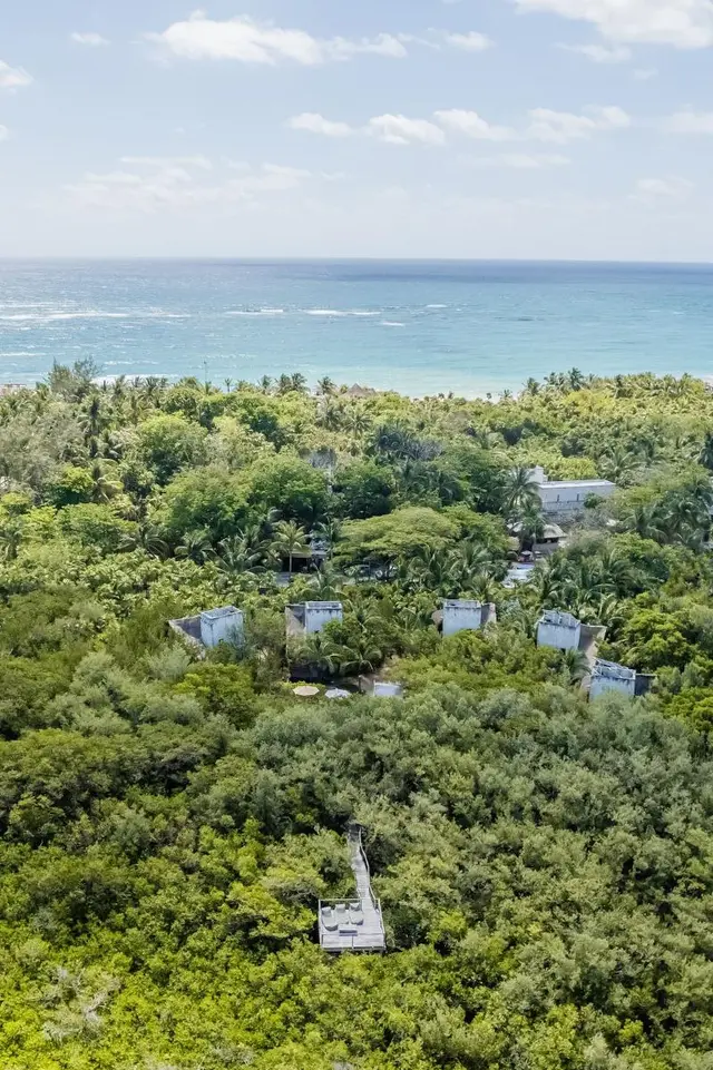Tulum Vida Silvestre
