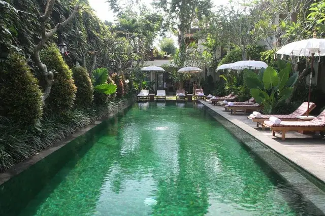 Sapodilla Ubud